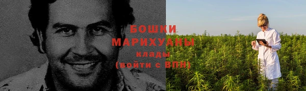 стаф Осинники