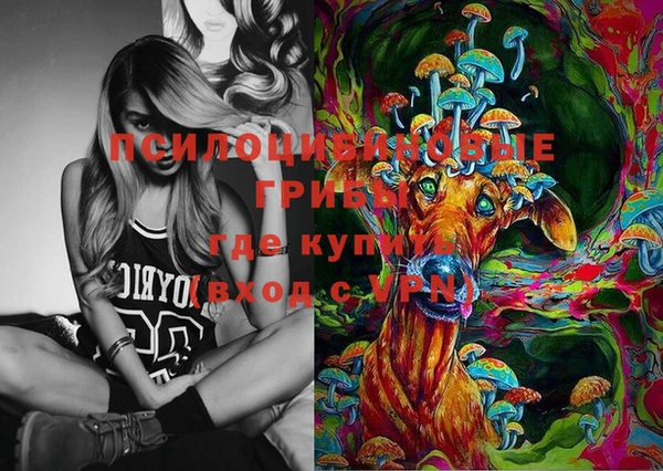 стаф Осинники