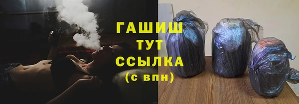 стаф Осинники
