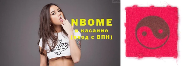 стаф Осинники