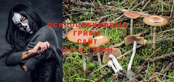 винт Остров