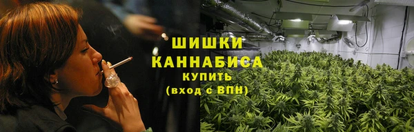 гидропоника Няндома