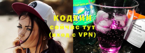 стаф Осинники