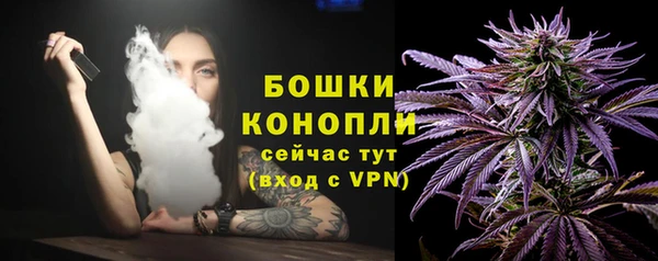 гидропоника Няндома