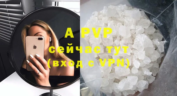 прущие грибы Грязовец