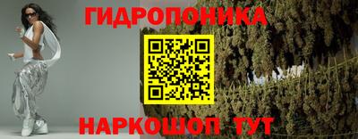 гидра Моздок