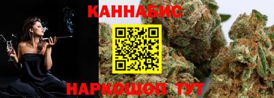 гидра Моздок