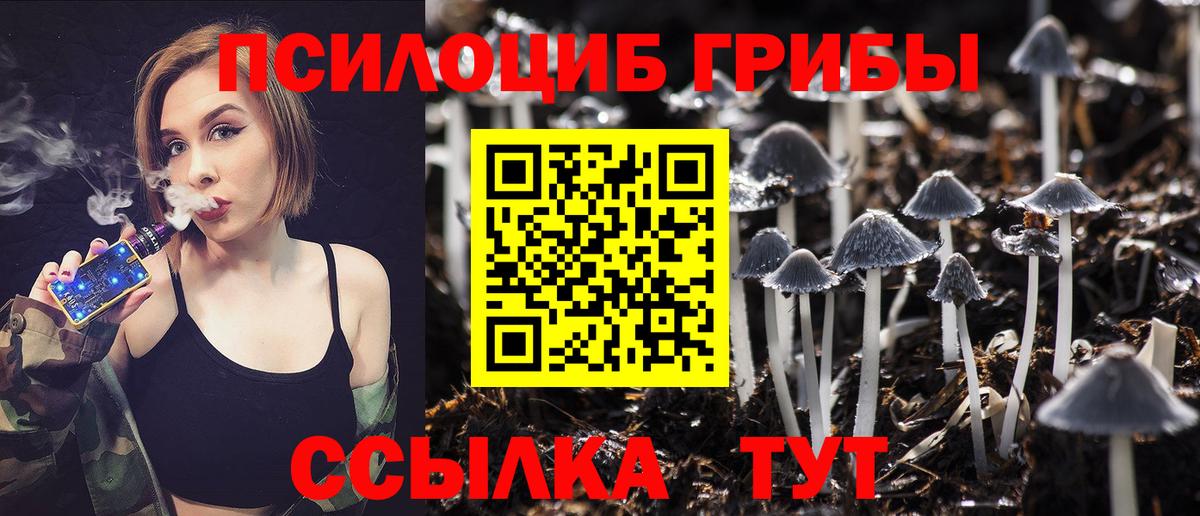 Псилоцибиновые грибы мицелий  Вход с VPN  Североморск  Псилоцибиновые грибы MAGIC MUSHROOMS 