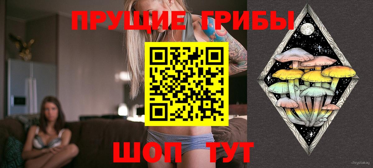 Псилоцибиновые грибы Cubensis Североморск